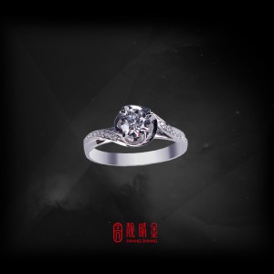 GIA50分-53分F/VS2鑽石女戒（已承蒙收藏）